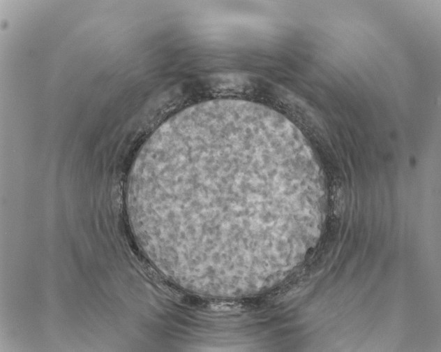 X0000088390753200706121209