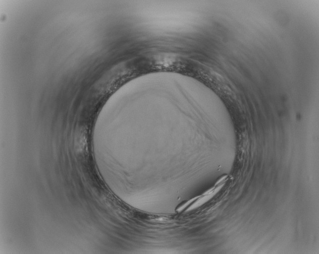 X0000088390754200706121210