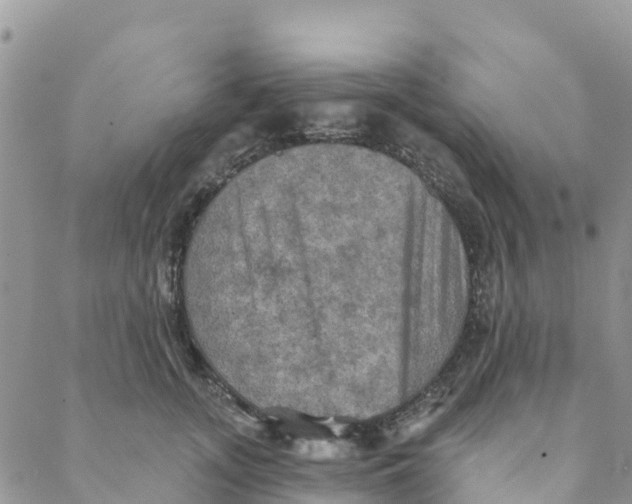 X0000088390755200706121210