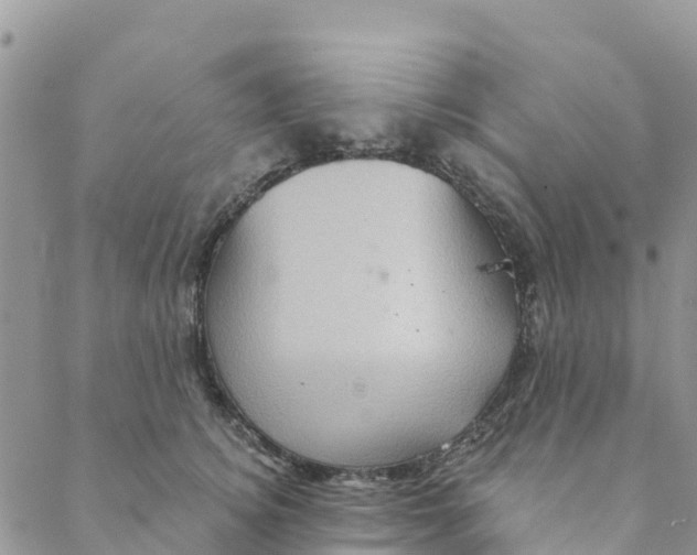 X0000088390756200706121210