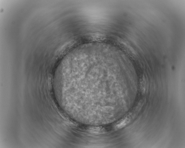 X0000088390757200706121210