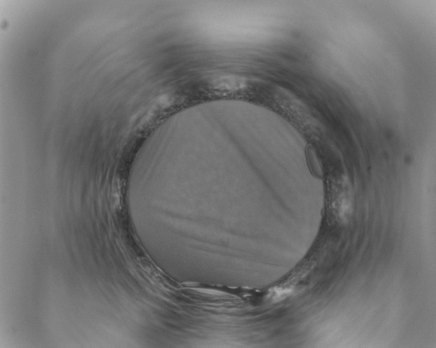 X0000088390758200706121210