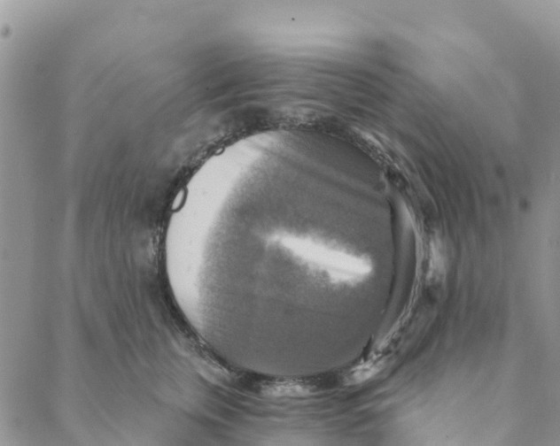 X0000088390759200706121210