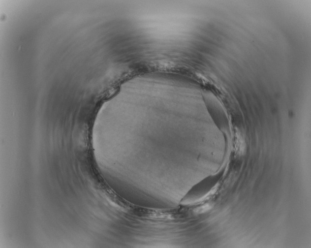 X0000088390760200706121210