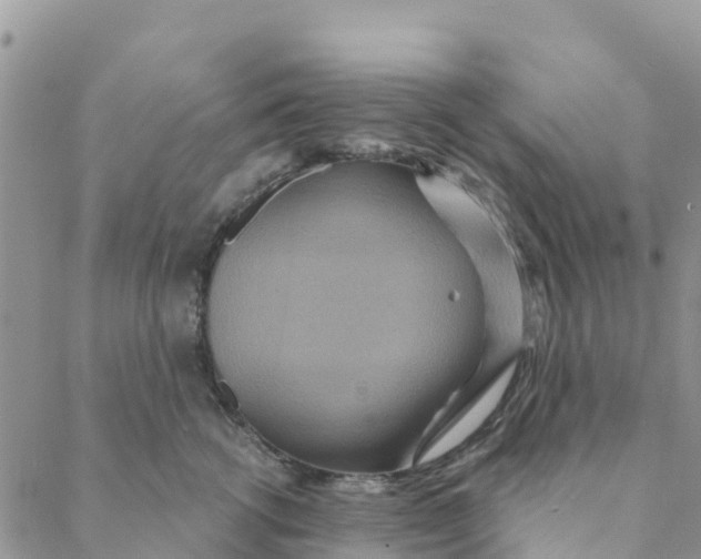 X0000088390762200706121210