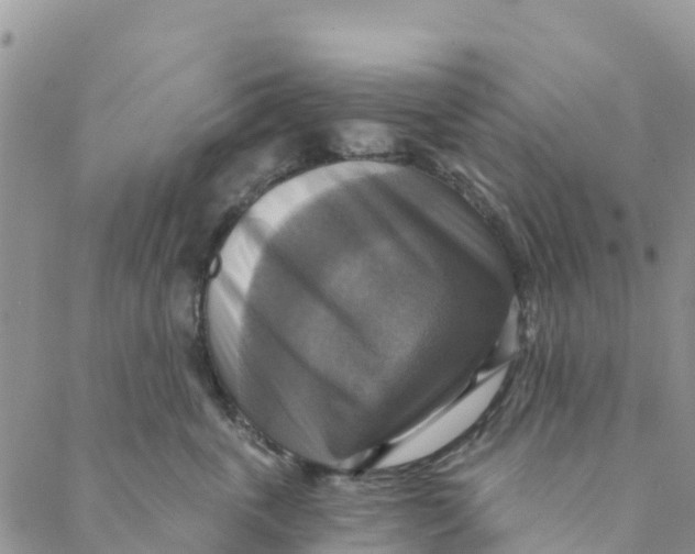 X0000088390763200706121210