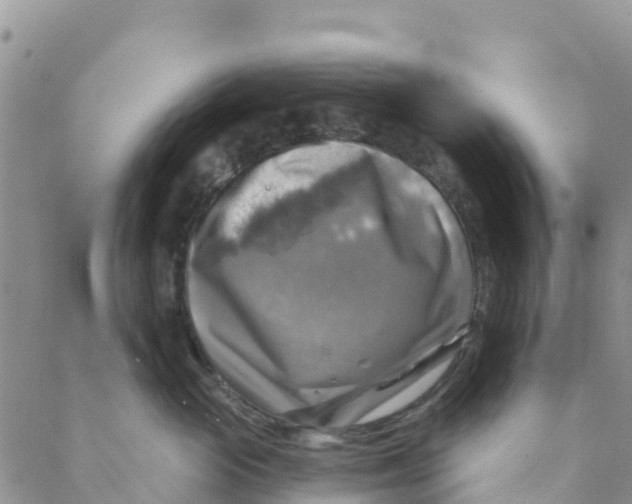 X0000088390765200706121210