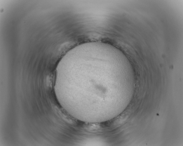 X0000088390768200706121210