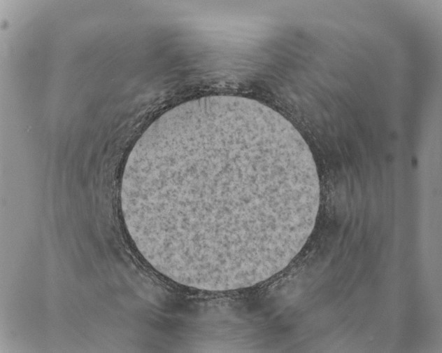 X0000088390769200706121209