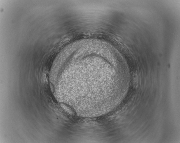 X0000088390770200706121209