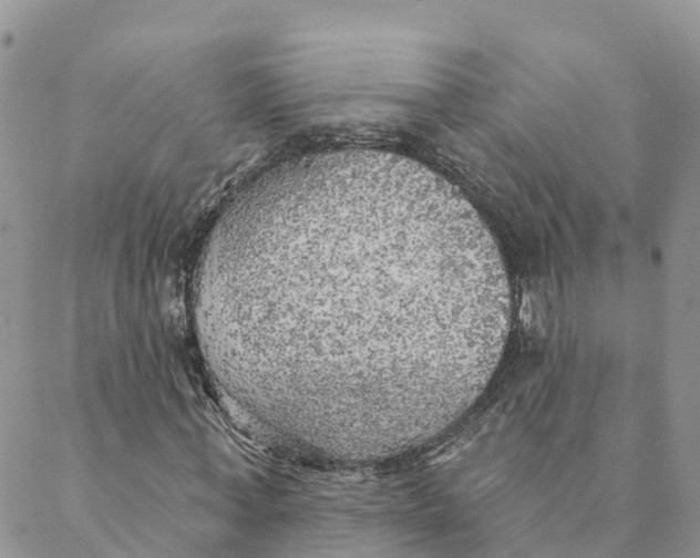 X0000088390771200706121209