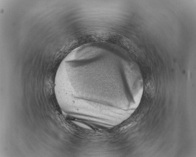 X0000088390772200706121209