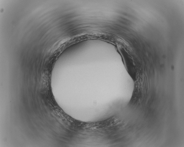 X0000088390773200706121209