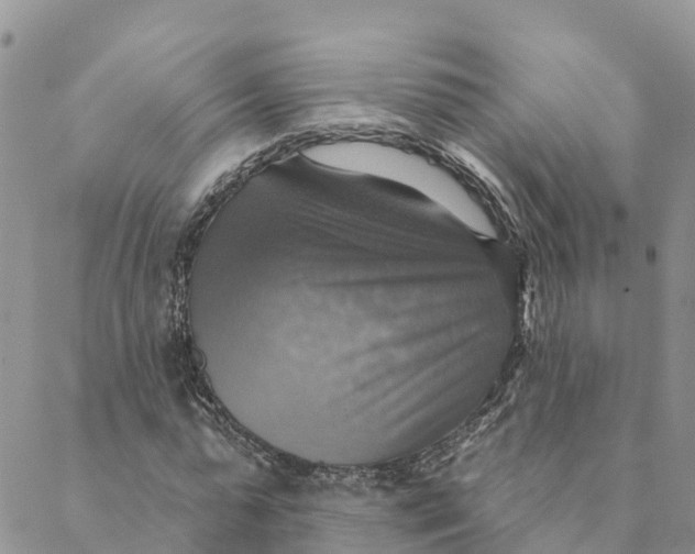 X0000088390775200706121209