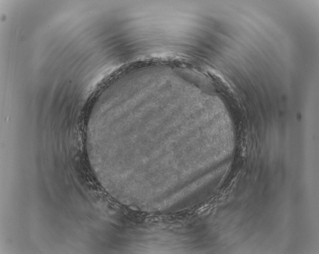 X0000088390776200706121209