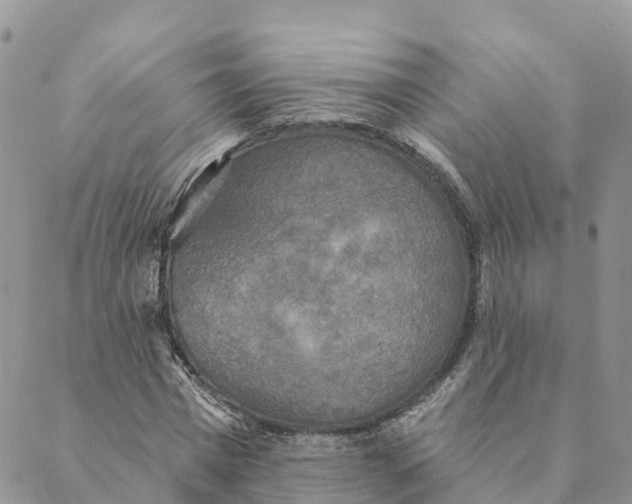 X0000088390777200706121209