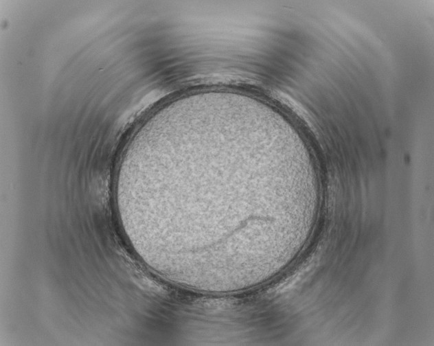 X0000088390778200706121209