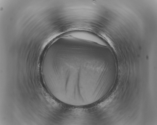 X0000088390779200706121209