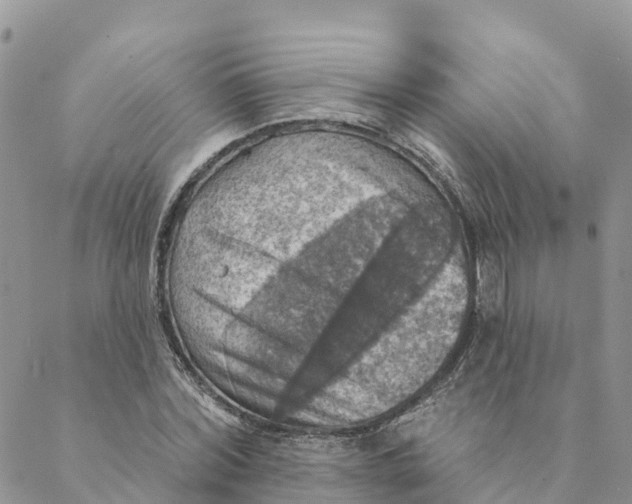 X0000088390780200706121209