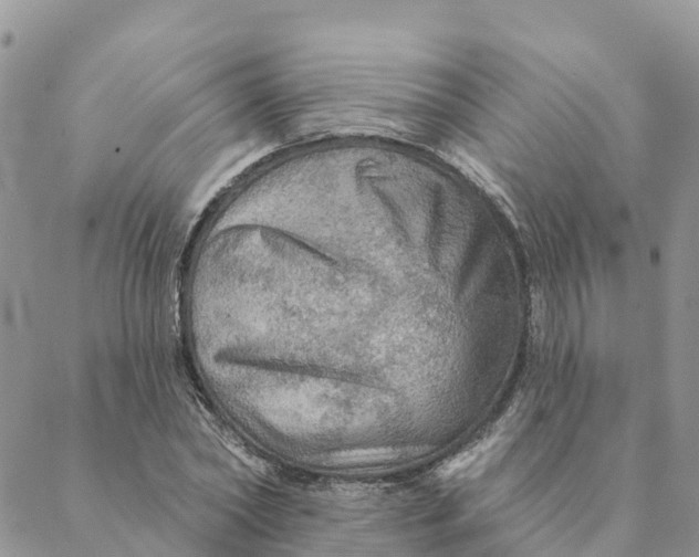 X0000088390782200706121209