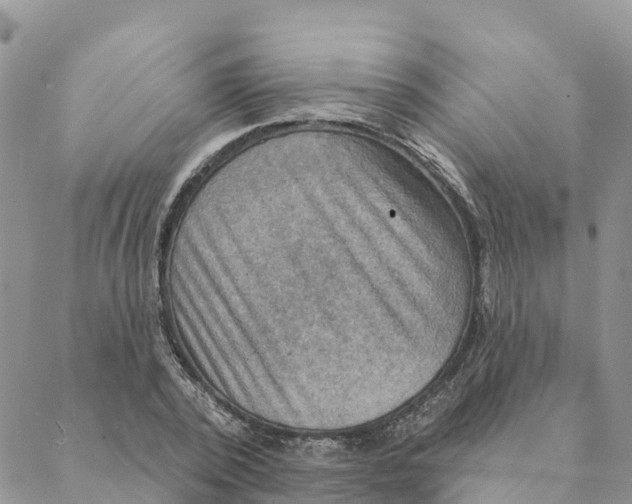 X0000088390784200706121209