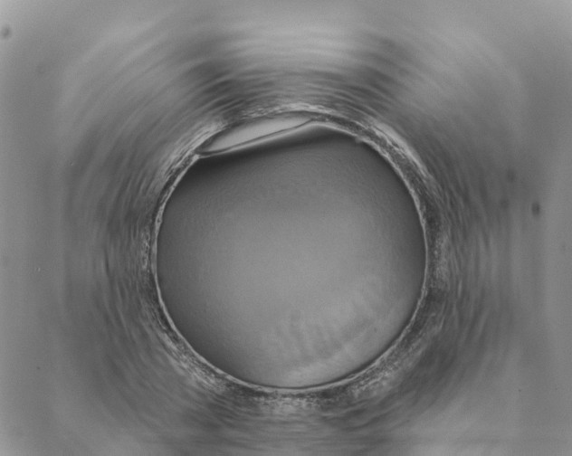 X0000088390785200706121209