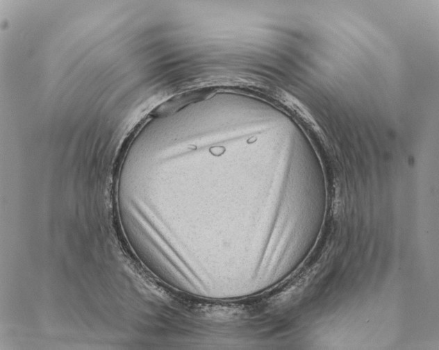 X0000088390786200706121209