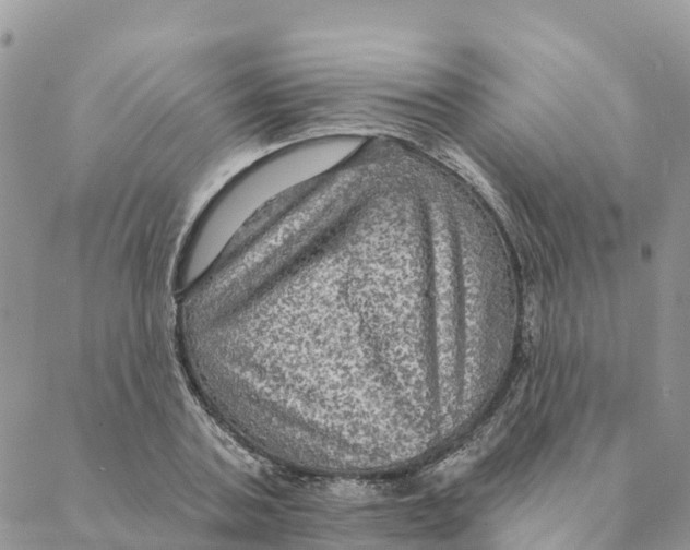 X0000088390787200706121209