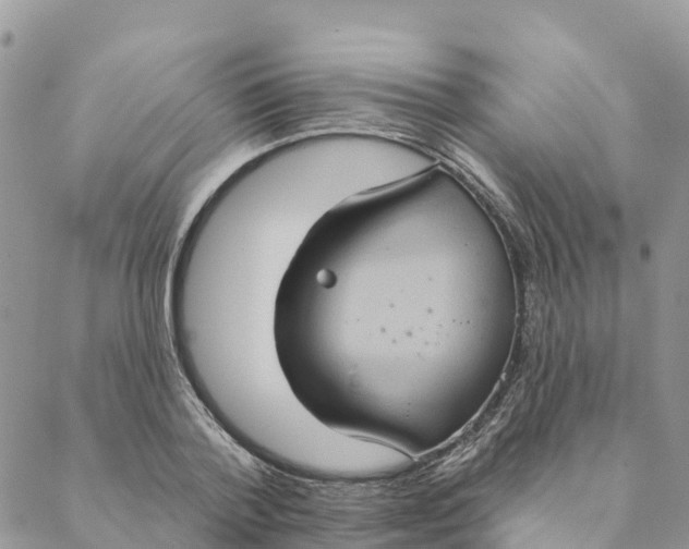 X0000088390788200706121209