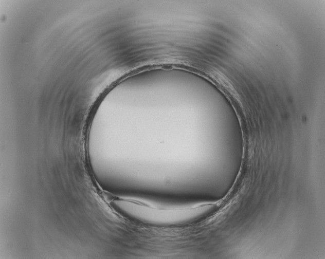 X0000088390789200706121209