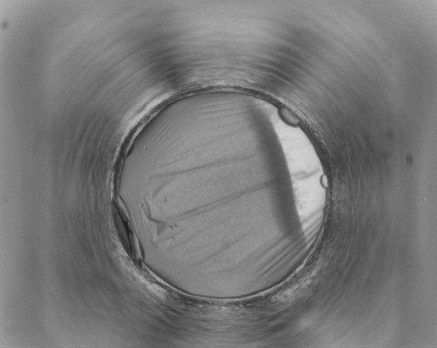 X0000088390790200706121209