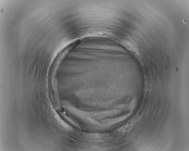 X0000088390792200706121209