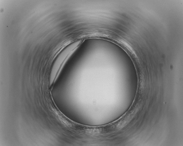 X0000088390793200706121209