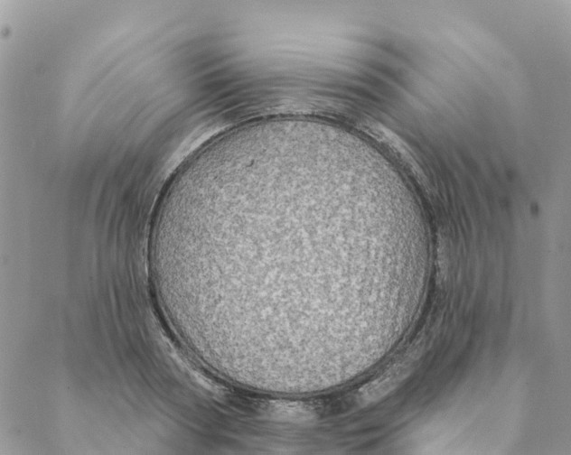 X0000088390794200706121209