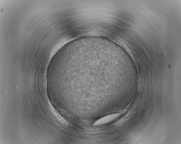 X0000088390795200706121209