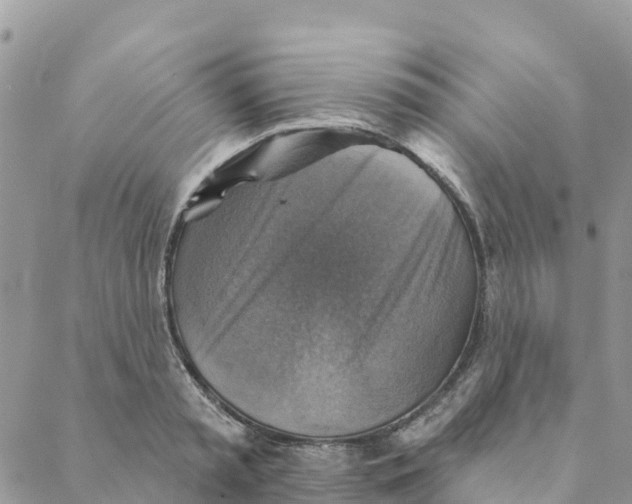 X0000088390797200706121209