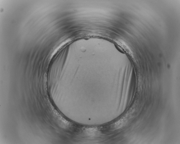 X0000088390798200706121208