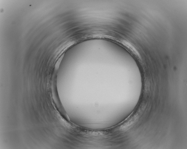 X0000088390801200706121208