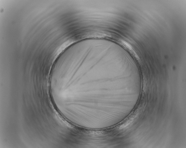 X0000088390802200706121208