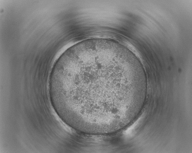 X0000088390803200706121208