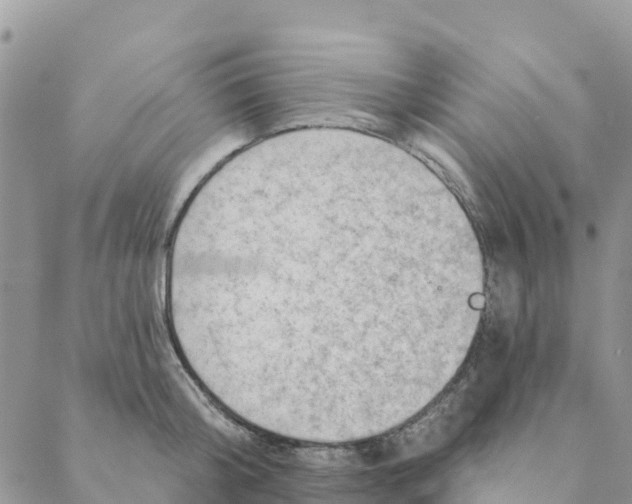 X0000088390804200706121208