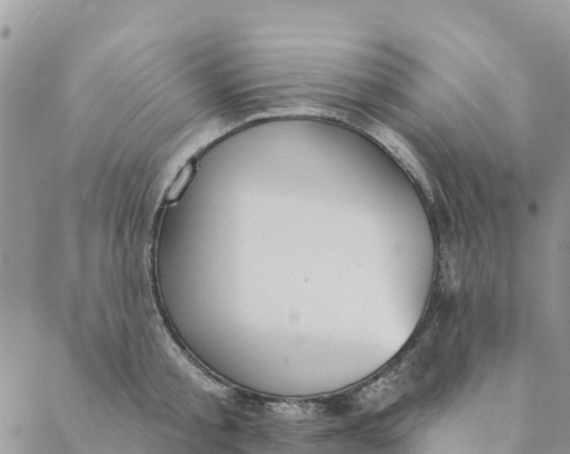 X0000088390805200706121208