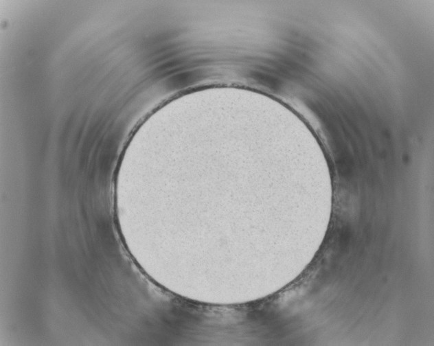 X0000088390807200706121208