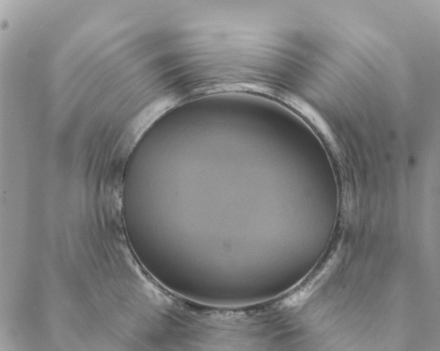 X0000088390809200706121208