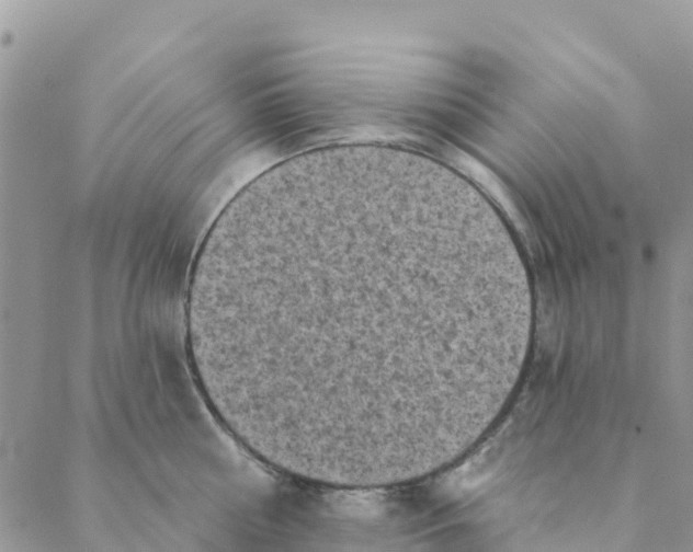 X0000088390810200706121208