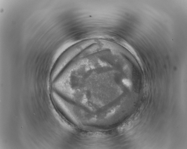 X0000088390811200706121208