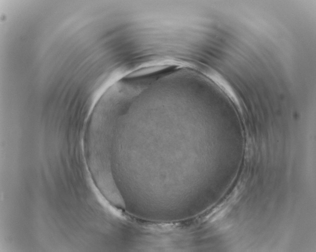 X0000088390813200706121208