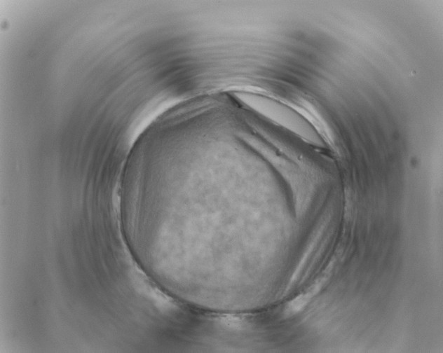 X0000088390814200706121208