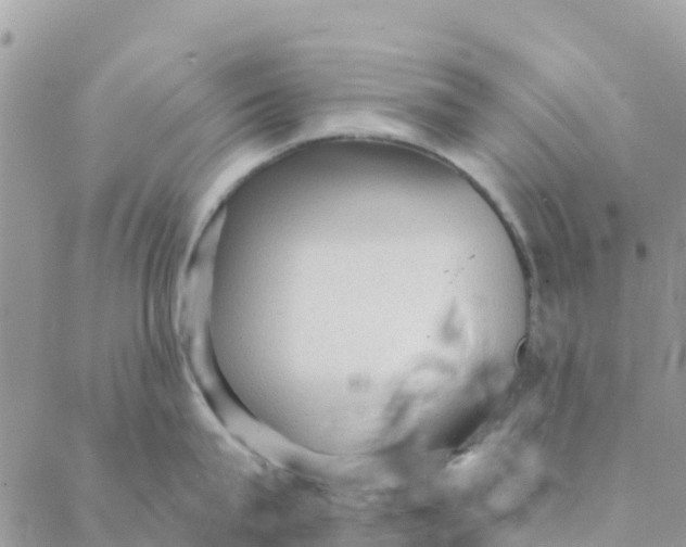 X0000088390815200706121208