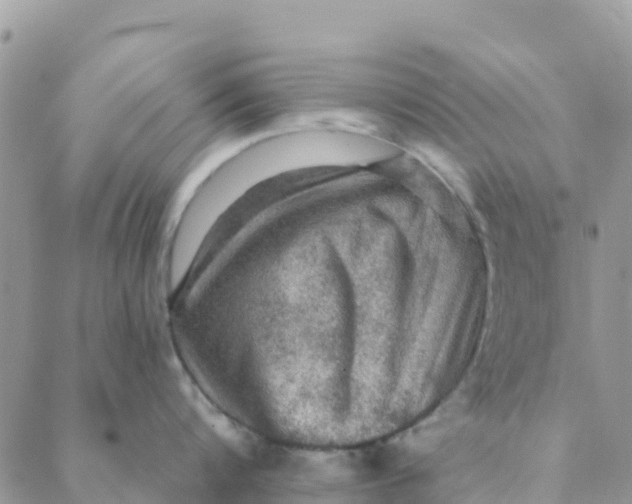 X0000088390816200706121208